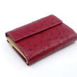 Cape Town 1343.9255 wine beige &ndash; Burgundy &ndash; Image 2