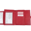 Classic E4053.22086 rot &ndash; Rouge &ndash; Image 4
