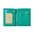 Symbol N1565.17243S12 jade &ndash; Turquoise &ndash; Image 2