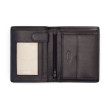 Kantonswappen 974 Thurgau schwarz &ndash; Black &ndash; Image 2